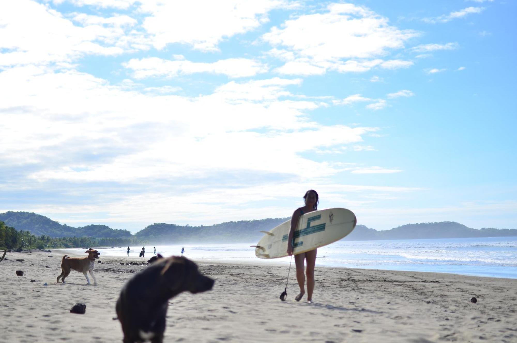 Alouatta Playa Coyote Hostel San Francisco de Coyote Εξωτερικό φωτογραφία