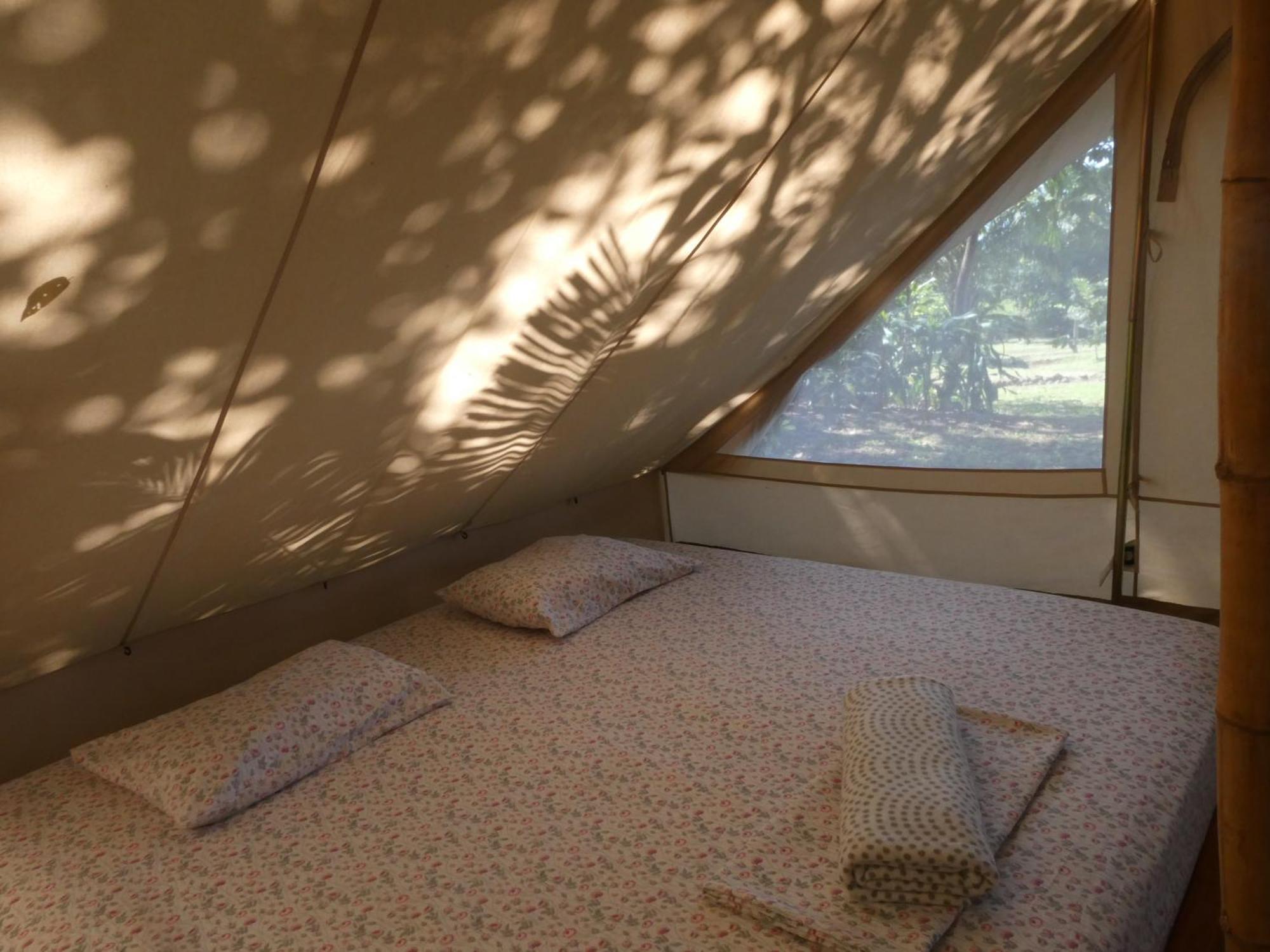 Alouatta Playa Coyote Hostel San Francisco de Coyote Εξωτερικό φωτογραφία
