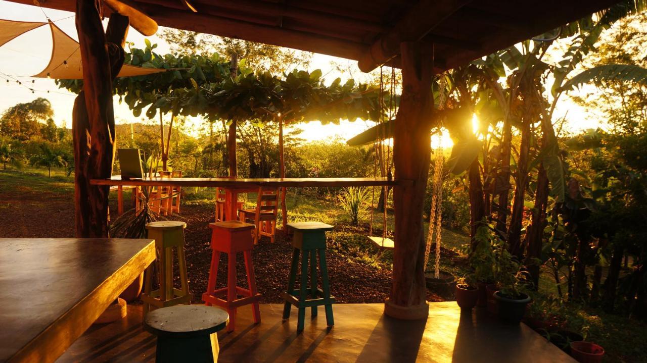 Alouatta Playa Coyote Hostel San Francisco de Coyote Εξωτερικό φωτογραφία