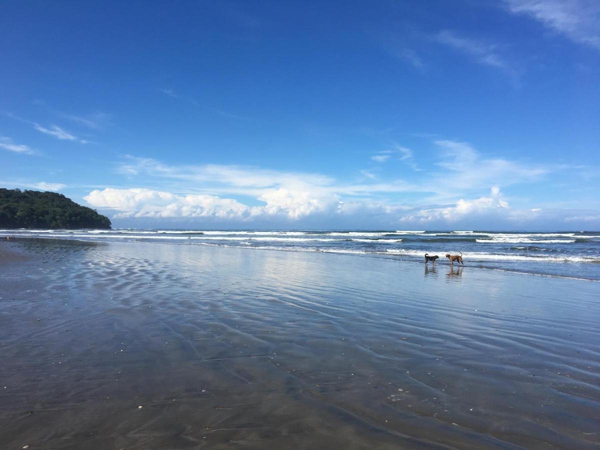 Alouatta Playa Coyote Hostel San Francisco de Coyote Εξωτερικό φωτογραφία